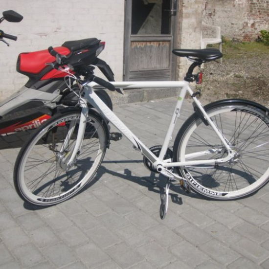 BATAVUS CS EXCELLENCE 7 Gear 2 x RULLE BR. HR - 57 Cm ALU-STEL