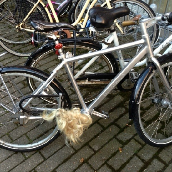 Biomega Copenhagen - kardantr&aelig;k