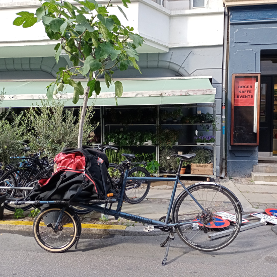 omnim cargo bike