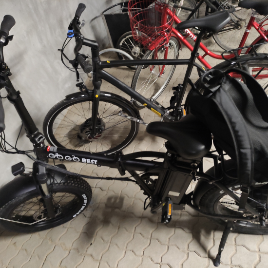 Gogobest (gf 300) ebike